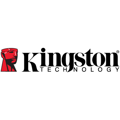 kingston vector