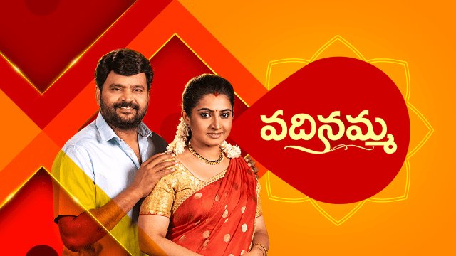 Telugu Tv Show Vadinamma