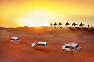 desert safari by land cruiser