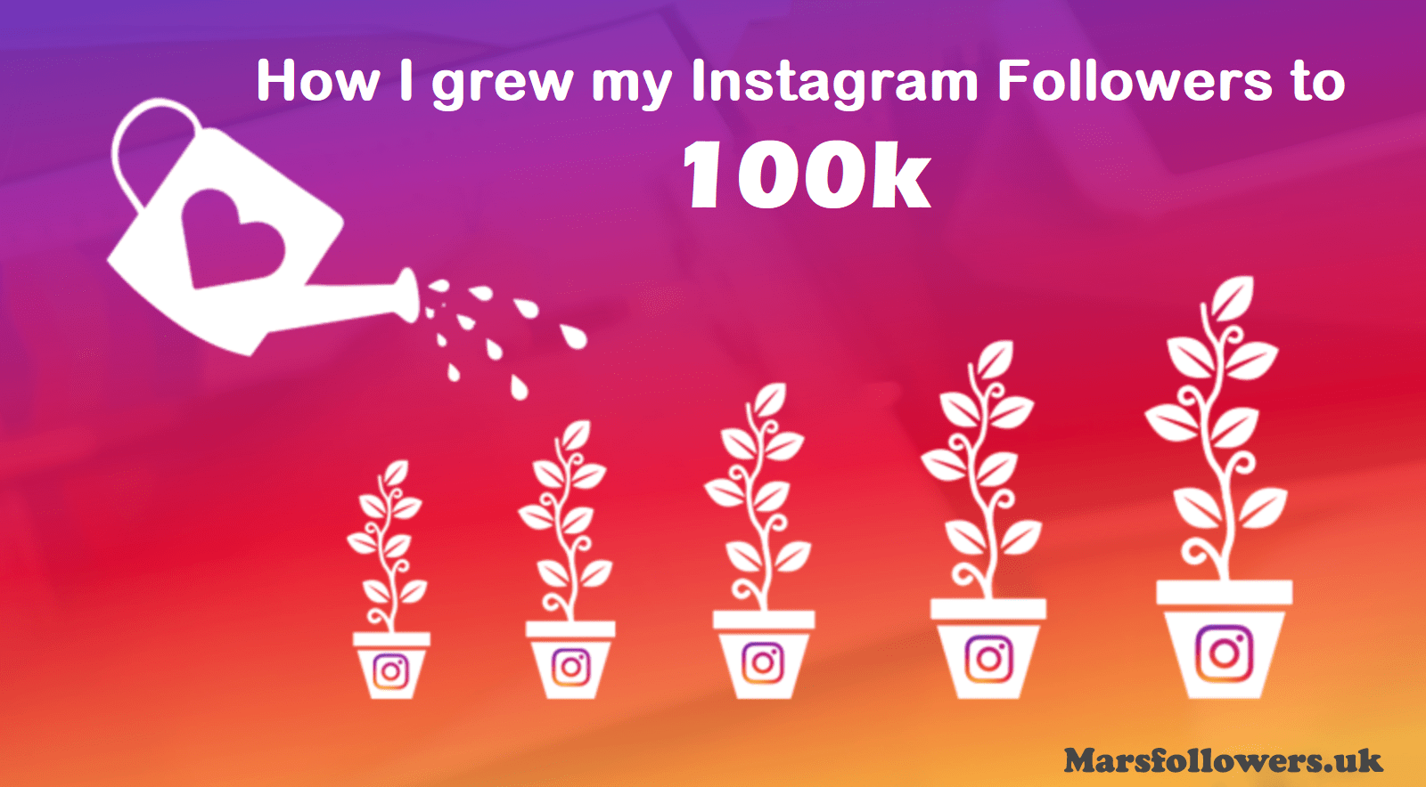 How I grew my Instagram Followers to 100k