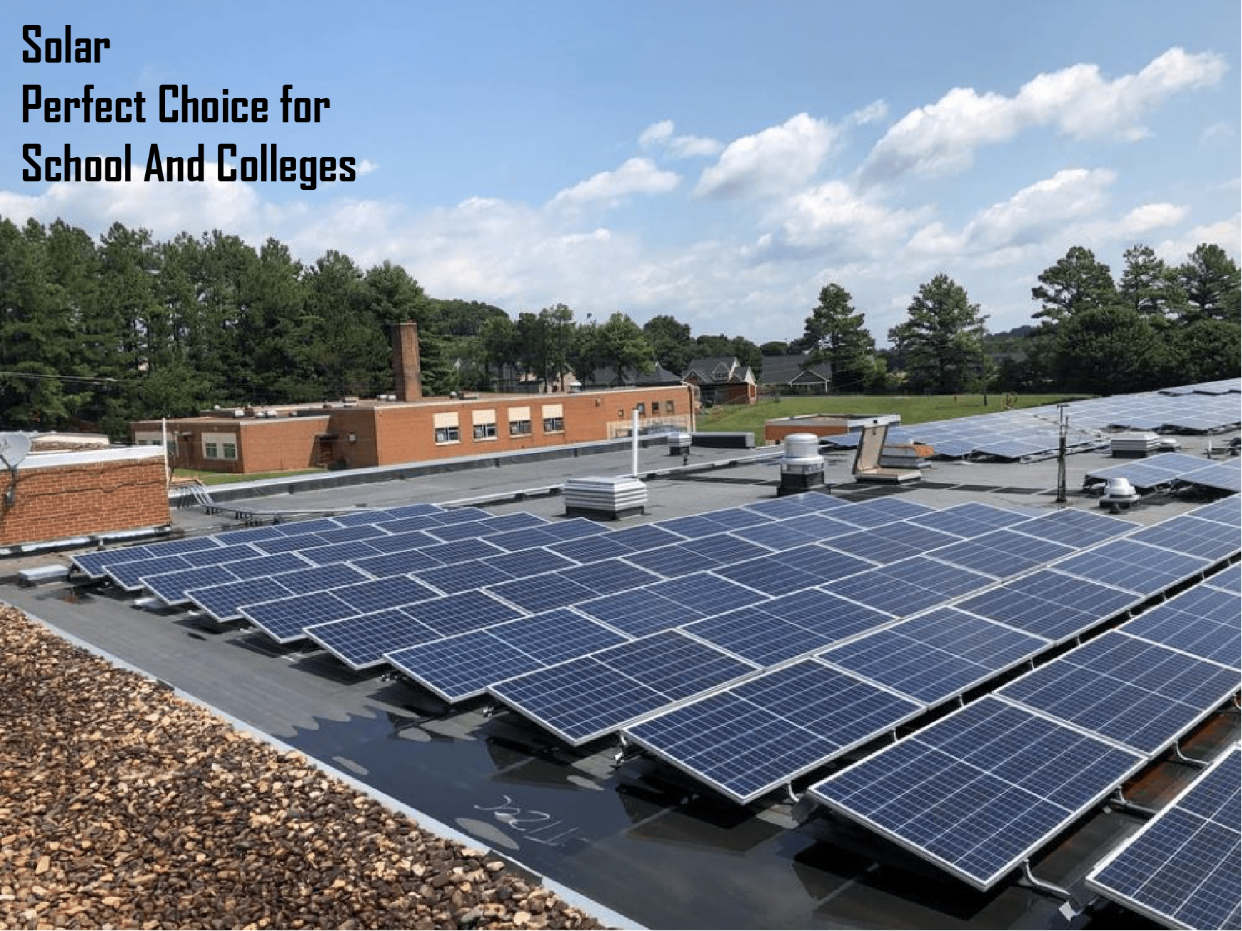 Why Solar for Schools and Colleges Is the Perfect Choice This Year