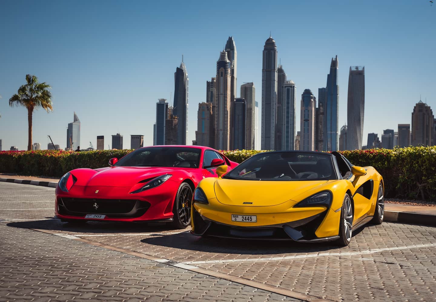 Professional Car Rental in Dubai