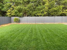 purchasing quality lawn