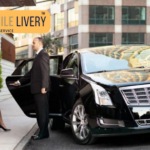 Pro Guide on Getting the Best Limo Service Orlando