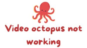 Video Octopus Not Working