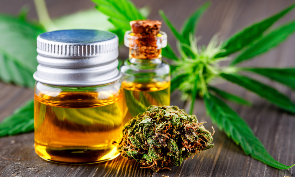 CBD Oil or CBD Flower Which is Better to Help with Social Anxiety