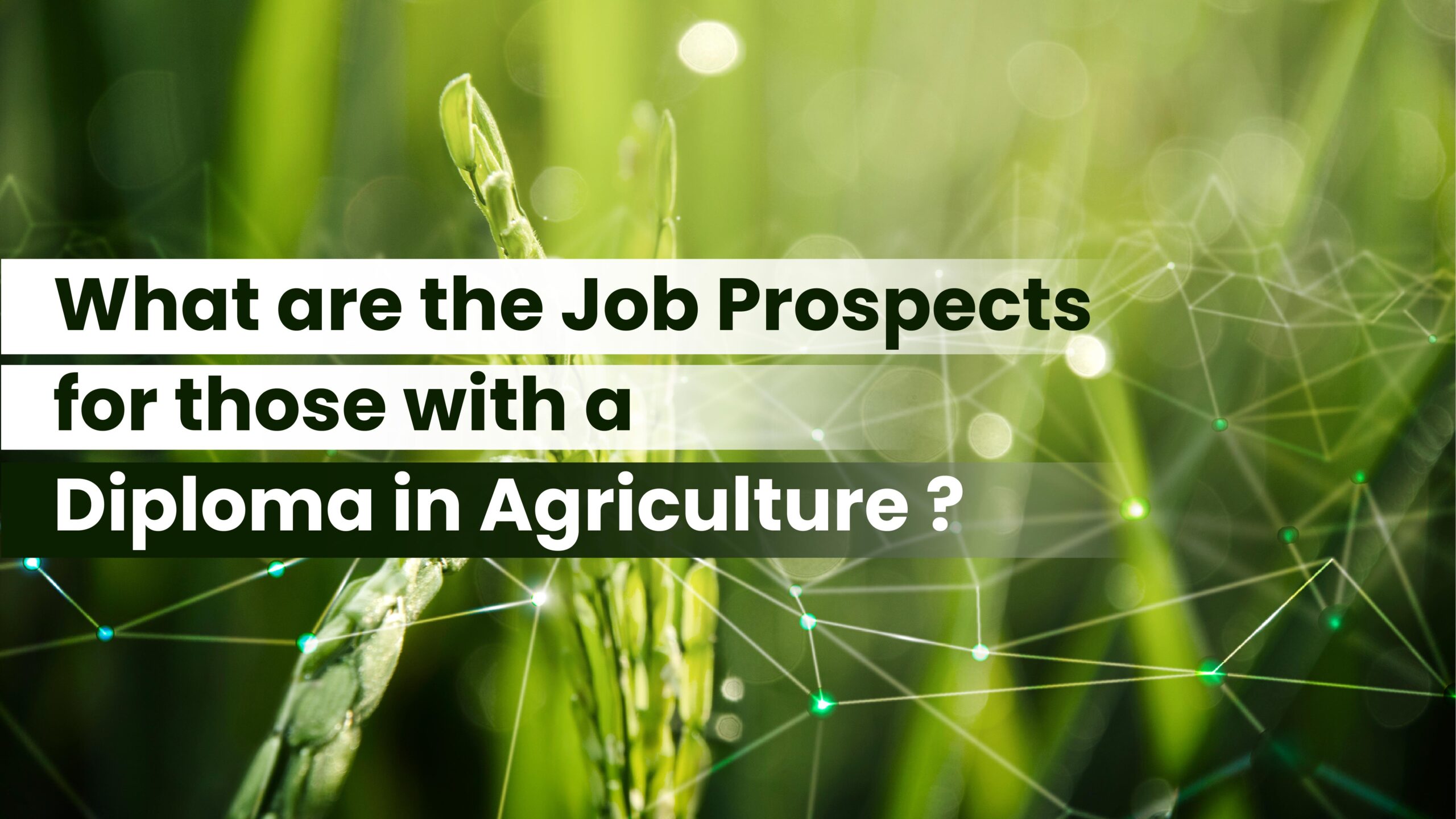 What are the Job Prospects for those with a Diploma in Agriculture?