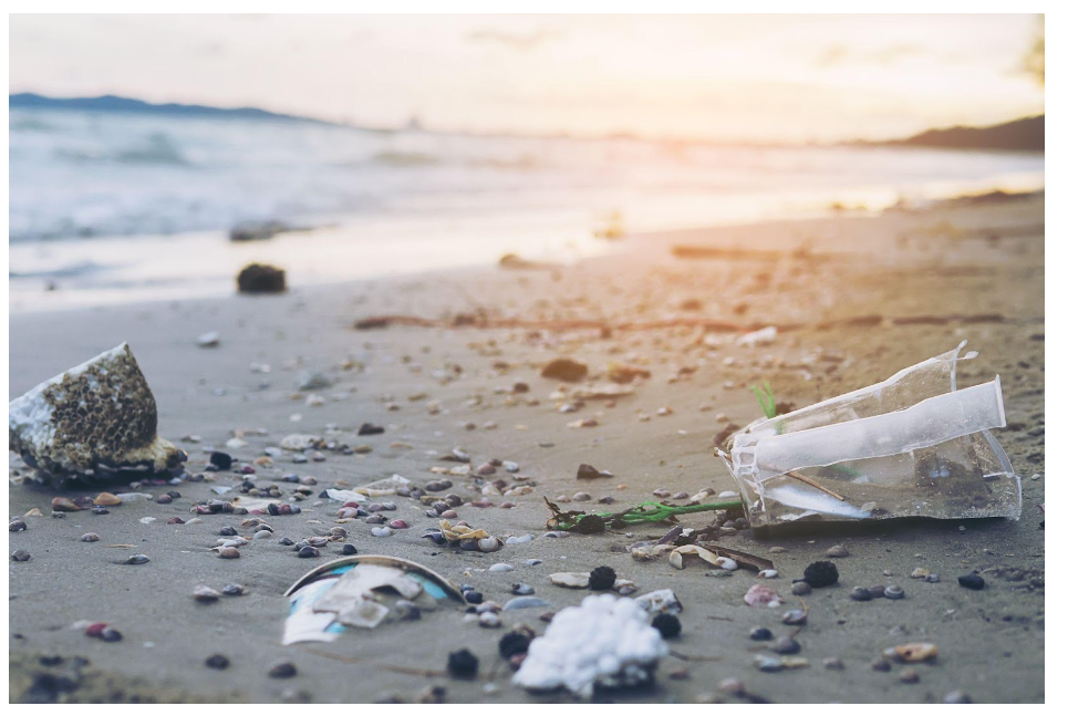 David Hastings Discusses Florida's Preemptive Plastics Ban