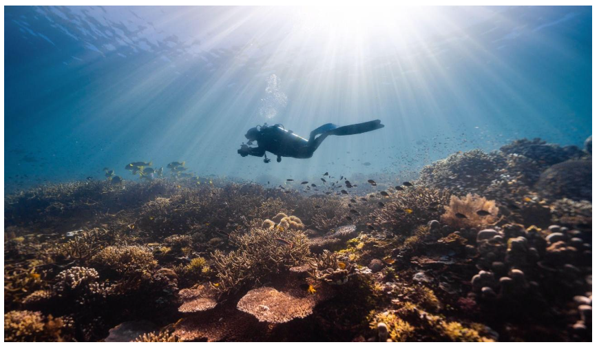 Kyle Vandermolen: Exploring the Depths: The Thrills and Wonders of Scuba Diving
