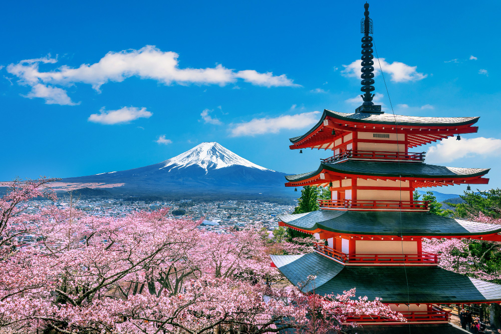 Tokyo on a Budget: How to Save Money on Your Trip
