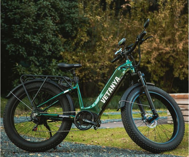 What essential considerations should I be aware of before purchasing a Softail e-bike?