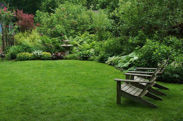 Transforming Your Yard: A Blend of Practicality and Creativity